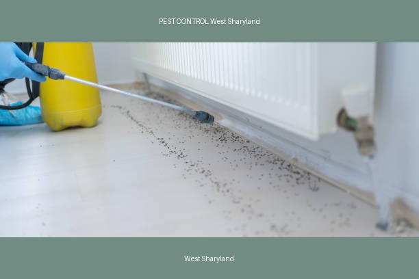 PEST CONTROL West Sharyland